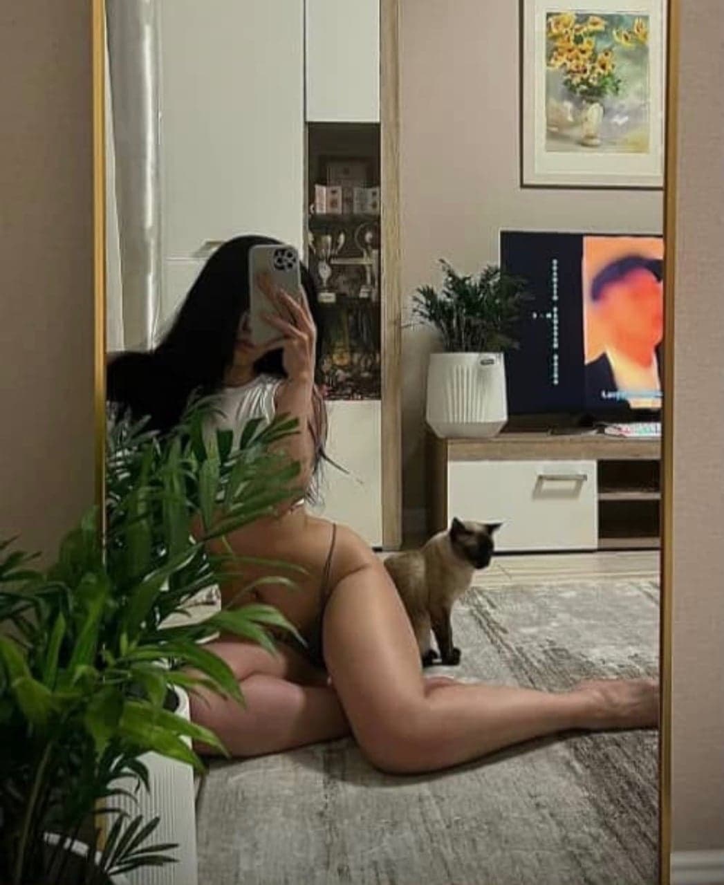 Амина⚜️